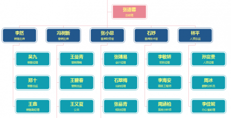 销售公司组织架构图