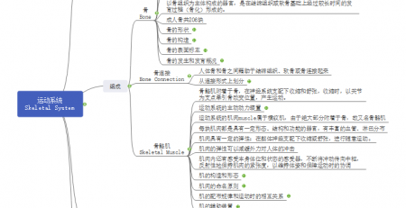 运动系统